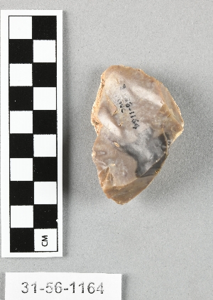31-56-1164