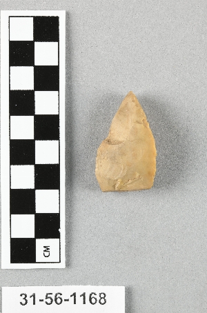 31-56-1168