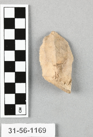 31-56-1169