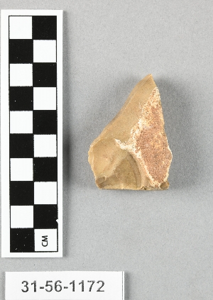 31-56-1172