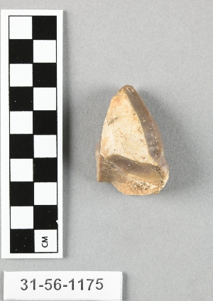 31-56-1175
