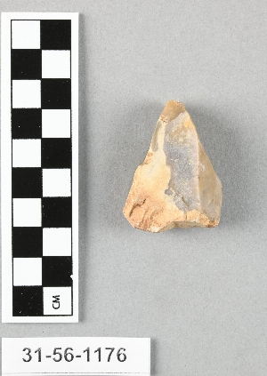 31-56-1176