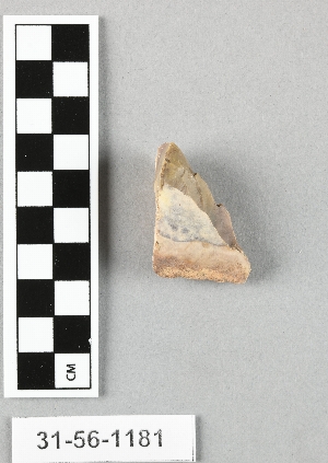 31-56-1181