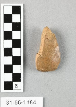 31-56-1184