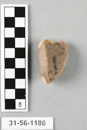 31-56-1186