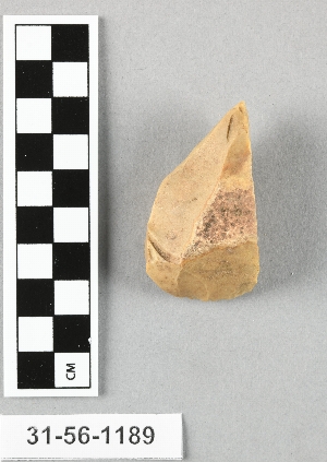 31-56-1189