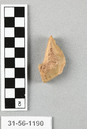 31-56-1190