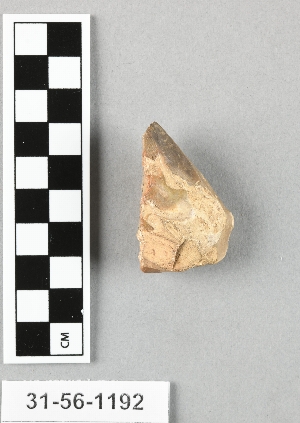 31-56-1192