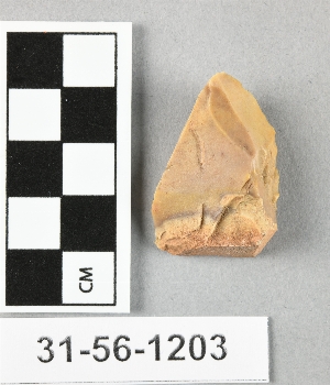 31-56-1203