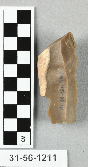 31-56-1211