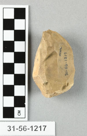 31-56-1217