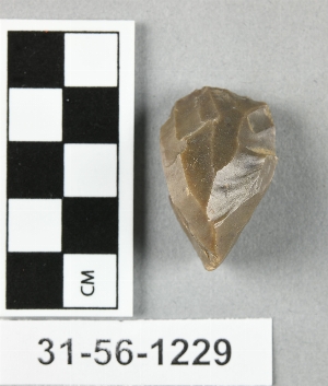 31-56-1229