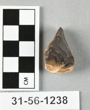 31-56-1238
