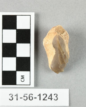 31-56-1243