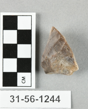 31-56-1244