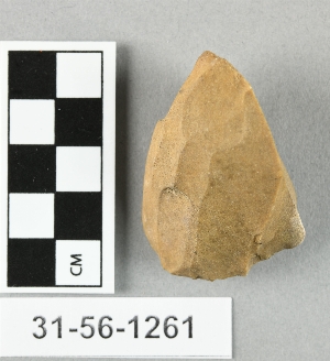 31-56-1261
