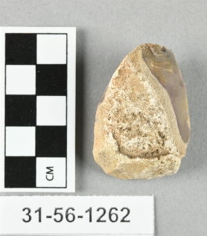 31-56-1262