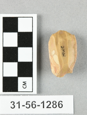 31-56-1286