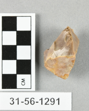 31-56-1291