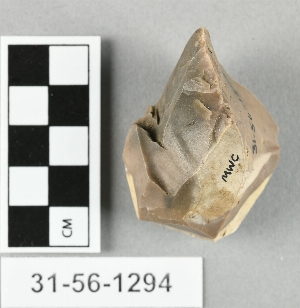 31-56-1294