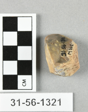 31-56-1321