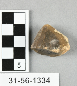 31-56-1334