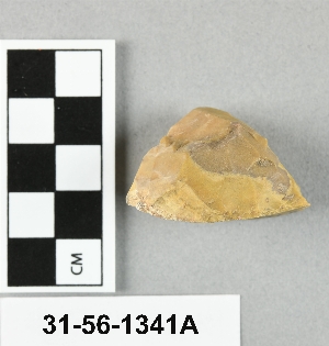 31-56-1341A