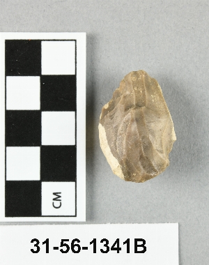 31-56-1341B
