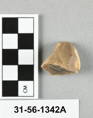 31-56-1342A
