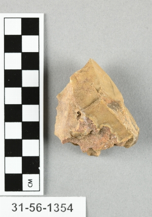 31-56-1354