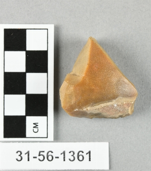 31-56-1361