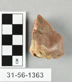 31-56-1363
