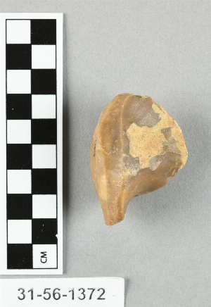 31-56-1372