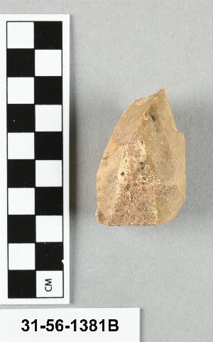 31-56-1381B