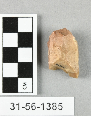 31-56-1385