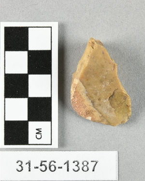 31-56-1387
