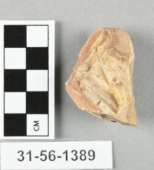31-56-1389