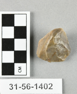31-56-1402