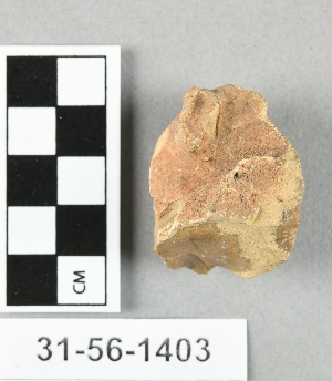 31-56-1403