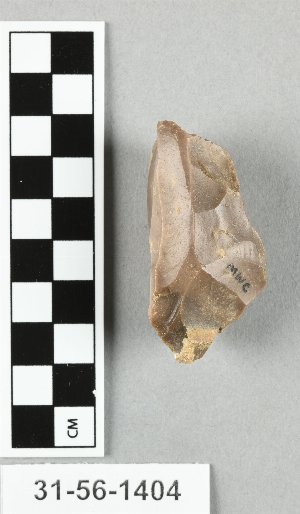 31-56-1404