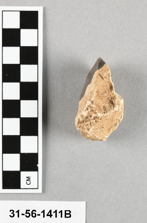 31-56-1411B