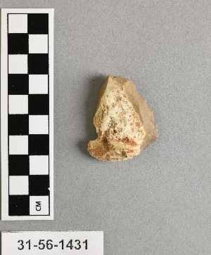 31-56-1431