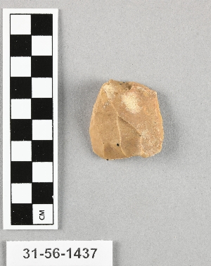 31-56-1437