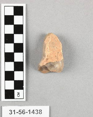 31-56-1438