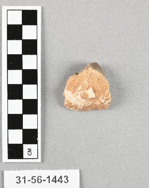31-56-1443
