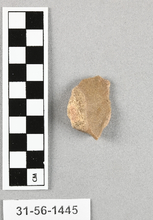 31-56-1445
