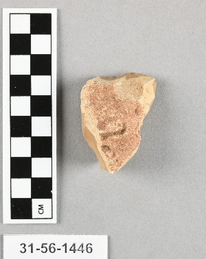 31-56-1446