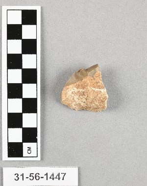31-56-1447