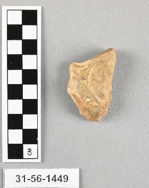 31-56-1449