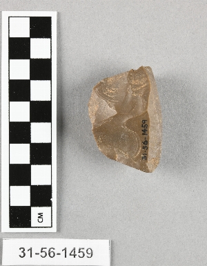 31-56-1459